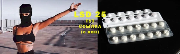 PSILOCYBIN Дмитров